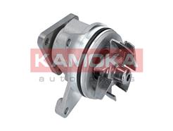 KAMOKA T0136