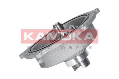 KAMOKA T0145 EAN: 5901779825441.