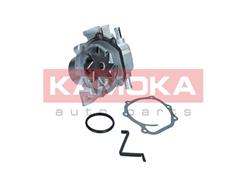 KAMOKA T0313