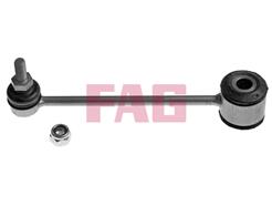 FAG 818 0310 10