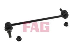 FAG 818 0379 10