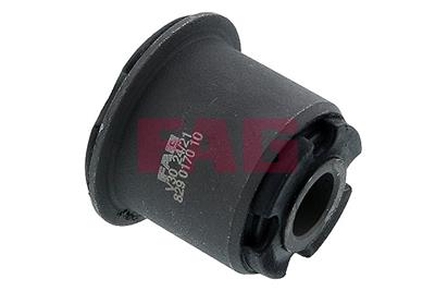 FAG 829 0170 10 EAN: 4014870413125.