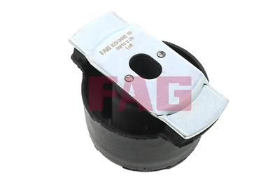 FAG 829 0493 10 EAN: 4014870415228.