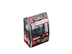 QWP WBE H1 12V P90 DUO