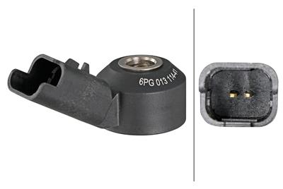 HELLA 6PG 013 114-411 EAN: 4082300850307.