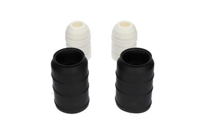 KAVO PARTS SPK-10019 EAN: 8715616355704.