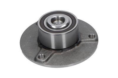 KAVO PARTS WBK-10036 EAN: 8715616352482.