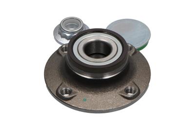 KAVO PARTS WBK-10043 EAN: 8715616352024.