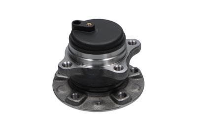 KAVO PARTS WBK-10077 EAN: 8715616369657.