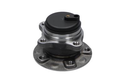 KAVO PARTS WBK-10077 EAN: 8715616369657.