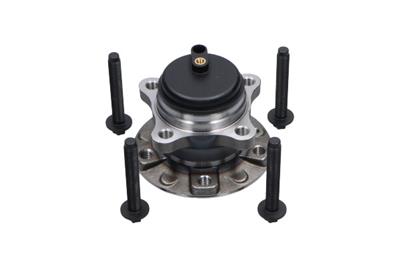 KAVO PARTS WBK-10079 EAN: 8715616369664.