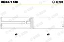 GLYCO H1068/5 STD