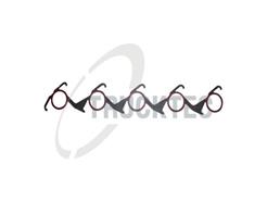 TRUCKTEC AUTOMOTIVE 02.16.019