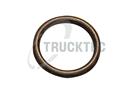 TRUCKTEC AUTOMOTIVE 02.67.008 - Těsnění sacího potrubí - koleno
