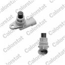 CALORSTAT by Vernet CS0289