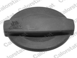 CALORSTAT by Vernet RC0002