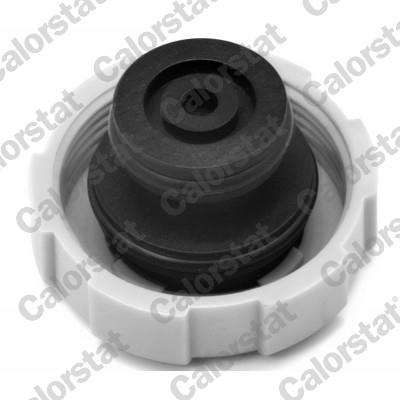 CALORSTAT by Vernet RC0008 EAN: 3531650022502.