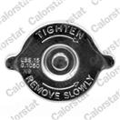 CALORSTAT by Vernet RC0061