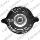 CALORSTAT by Vernet RC0062