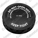 CALORSTAT by Vernet RC0151