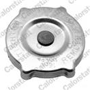 CALORSTAT by Vernet RC0153