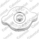 CALORSTAT by Vernet RC0193