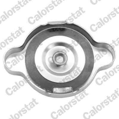 CALORSTAT by Vernet RC0193 EAN: 3531650041930.