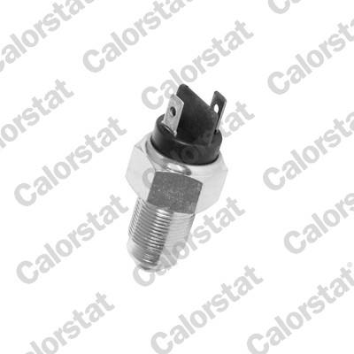 CALORSTAT by Vernet RS5509 EAN: 3531650014705.