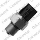 CALORSTAT by Vernet RS5634