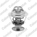 CALORSTAT by Vernet TH1542.89J