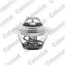 CALORSTAT by Vernet TH6045.89J