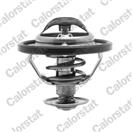 CALORSTAT by Vernet TH6311.82J