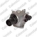 CALORSTAT by Vernet TH6506.88J