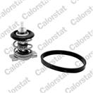 CALORSTAT by Vernet TH9200.88J