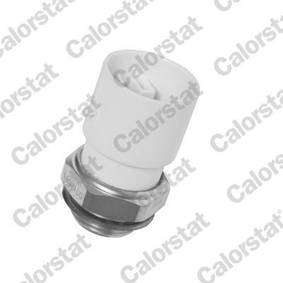 CALORSTAT by Vernet TS1771 EAN: 3531650010943.