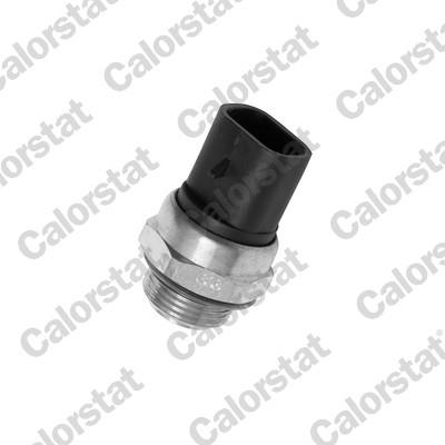 CALORSTAT by Vernet TS1899 EAN: 3531650011117.