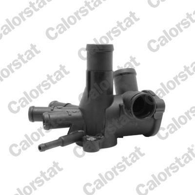 CALORSTAT by Vernet WF0005 EAN: 3531650029501.