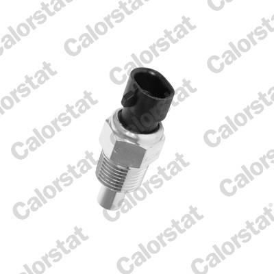 CALORSTAT by Vernet WS2588 EAN: 3531650012077.