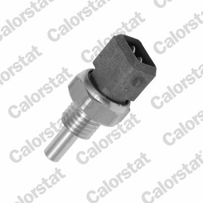 CALORSTAT by Vernet WS2589 EAN: 3531650012084.