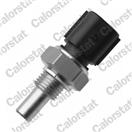 CALORSTAT by Vernet WS3065