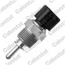 CALORSTAT by Vernet WS3101