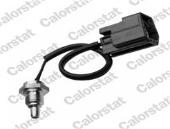 CALORSTAT by Vernet WS3109