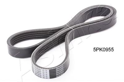 ASHIKA 112-5PK955 EAN: 8033001463163.