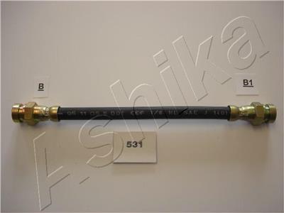 ASHIKA 69-05-531 EAN: 8033001252446.