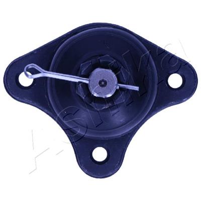 ASHIKA 73-05-509 EAN: 8033001484106.