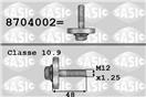 SASIC 8704002