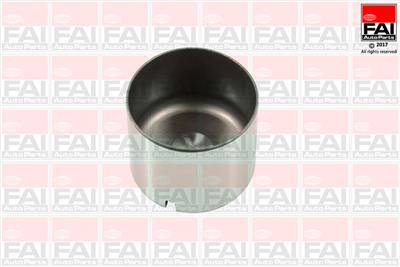 FAI AutoParts BFS100 EAN: 5027049183995.