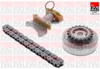 FAI AutoParts TCK124VVT EAN: 5027049483088.