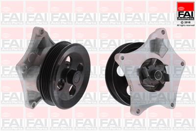 FAI AutoParts WP6666 EAN: 5027049487604.