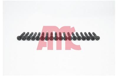 AMC 666863K